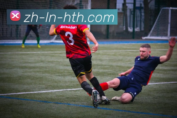 App Interface Preview